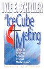 Ice Cube Is Melting What Is Really at Risk in United Methodism