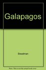 Galapagos Discovery on Darwin's Island
