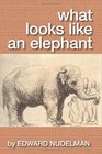 What Looks like an Elephant