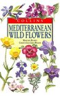 Meditteranean Wildflowers