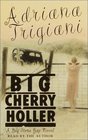 Big Cherry Holler (Big Stone Gap, Bk 2) (Audio Cassette) (Abridged)