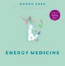 The Little Book of Energy Medicine The Essential Guide to Balancing Your Body's Energies