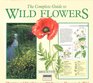 The complete guide to wild flowers