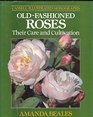 OLD FASHIONED ROSES THEIR CARE AND CULTIVATION