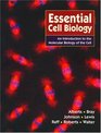 Essential Cell Biology An Introduction to the Molecular Biology of the Cell