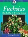 Fuchsias Step by Step for Growing Success