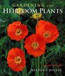 Gardening with heirloom plants