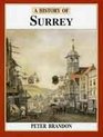 A History of Surrey