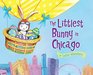 The Littlest Bunny in Chicago An Easter Adventure