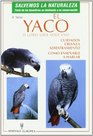 El Yaco O Loro Gris Africano/ Training African Grey Parrots Cuidados Crianza Adiestramiento