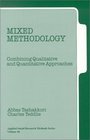 Mixed Methodology  Combining Qualitative and Quantitative Approaches