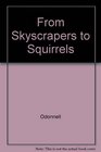 From Skyscrapers to Squirrels