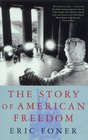 The Story of American Freedom The Reality and the Mythic Ideal
