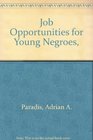 Job Opportunities for Young Negroes