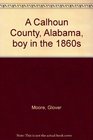A Calhoun County Alabama boy in the 1860's