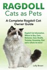 Ragdoll Cats as Pets Ragdoll Cat Information Where to Buy Care Behavior Cost Health Training Grooming Diet and a whole lot more A Complete Ragdoll Cat Owner Guide