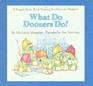 What Do Doozers Do