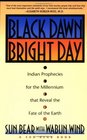 Black Dawn Bright Day