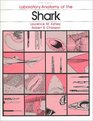 Laboratory Anatomy of The Shark