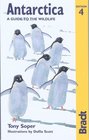 Antarctica A Guide to the Wildlife 4th