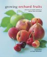 Growing Orchard Fruits A Directory Of Varieties And How To Cultivate Them Successfully
