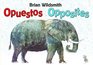 Brian Wildsmith's Opposites/Opuestos