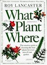 What Plant Where