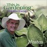 This is Gardening  Hostas