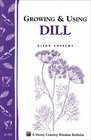 Growing  Using Dill