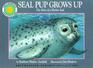 Seal Pup Grows Up The Story of a Harbor Seal