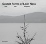 Gerard Byrne Gestalt Forms of Loch Ness Grid Site Sequence