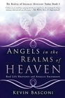 Angels in the Realms of Heaven: The Reality of Angelic Ministry Today (Dancing with Angels)