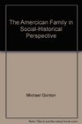 The Amercican Family in SocialHistorical Perspective
