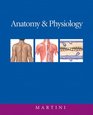 Anatomy  Physiology with IP 9System Suite
