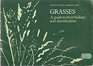 Grasses A Guide to Their Biology and Classification