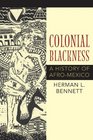 Colonial Blackness A History of AfroMexico