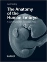 The Anatomy of the Human Embryo A Scanning ElectronMicroscopic Atlas