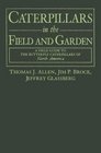 Caterpillars In The Field And Garden A Field Guide To The Butterfly Caterpillars Of North America