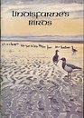 Lindisfarne's Birds