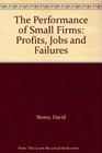 The Performance of Small Firms Profits Jobs and Failures