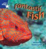 Fantastic Fish Phase 4