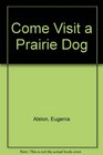 Come Visit a Prairie Dog Town