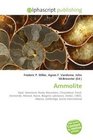 Ammolite: Opal, Gemstone, Rocky Mountains, Chrysoberyl, Fossil, Ammonite, Mineral, Nacre, Biogenic substance, Amber, CIBJO, Alberta, Lethbridge, Korite International