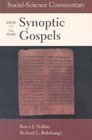 SocialScience Commentary on the Synoptic Gospels