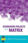 Sponsoring Projects in a Matrix An MM 20 Compliant Quick Guide