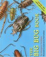 The Big Bug Book