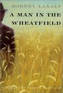 A Man In The Wheatfield