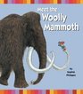 Meet The Woolly Mammoth