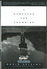 A Handbook for Drowning Stories