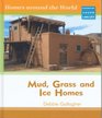 Mud Grass and Ice Homes